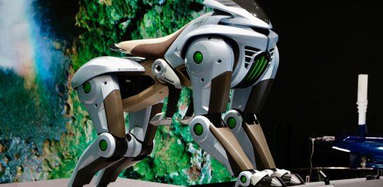 ข้อมูลที่น่าสนใจของ Kawasaki Corleo