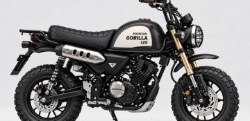 Honda Gorilla 125 2027 ลุ้นคืนชีพมินิไบค์สายถึก! ถังใหญ่ 12 ลิตร